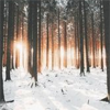 https://upforme.ru/uploads/0015/e5/b7/3090/173439.png