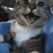 https://upforme.ru/uploads/0015/e5/b7/3090/538944.gif