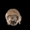 https://upforme.ru/uploads/0015/e5/b7/3090/615527.gif