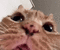 https://upforme.ru/uploads/0015/e5/b7/3090/63171.gif
