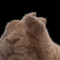 https://upforme.ru/uploads/0015/e5/b7/3090/848573.gif