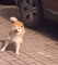 https://upforme.ru/uploads/0015/e5/b7/3090/889895.gif