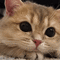 https://upforme.ru/uploads/0015/e5/b7/3090/89346.gif