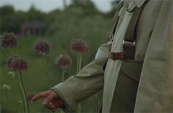 https://upforme.ru/uploads/0015/e5/b7/3692/704135.gif