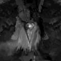 https://upforme.ru/uploads/0015/e5/b7/4125/939811.gif