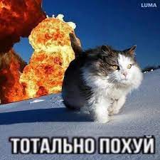https://upforme.ru/uploads/0015/ec/d4/2315/t353950.jpg