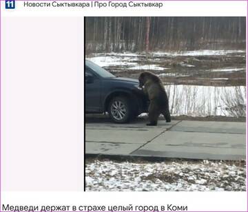 https://upforme.ru/uploads/0015/ec/d4/2315/t384027.jpg