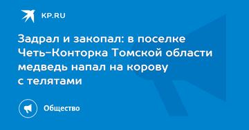 https://upforme.ru/uploads/0015/ec/d4/2315/t386025.png