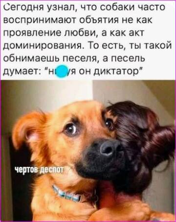 https://upforme.ru/uploads/0015/ec/d4/2315/t389837.jpg