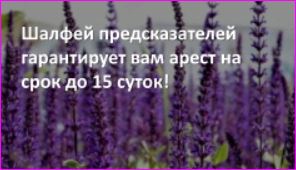 https://upforme.ru/uploads/0015/ec/d4/2315/t567462.jpg