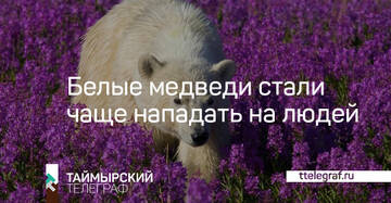https://upforme.ru/uploads/0015/ec/d4/2315/t580728.jpg