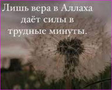 https://upforme.ru/uploads/0015/ec/d4/2315/t636698.jpg