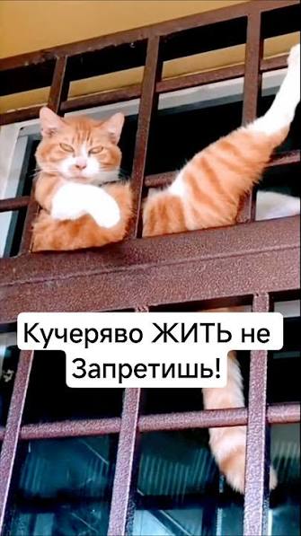 https://upforme.ru/uploads/0015/ec/d4/2315/t673418.jpg