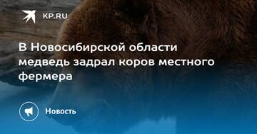 https://upforme.ru/uploads/0015/ec/d4/2315/t804508.jpg