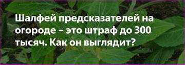 https://upforme.ru/uploads/0015/ec/d4/2315/t842289.jpg