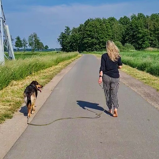 https://upforme.ru/uploads/0015/ec/e0/1194/731803.jpg