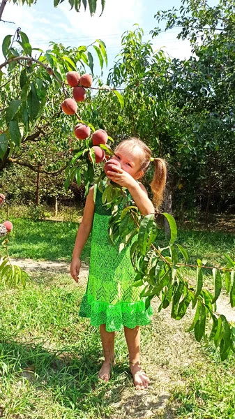 https://upforme.ru/uploads/0015/ec/e0/1480/t612578.jpg
