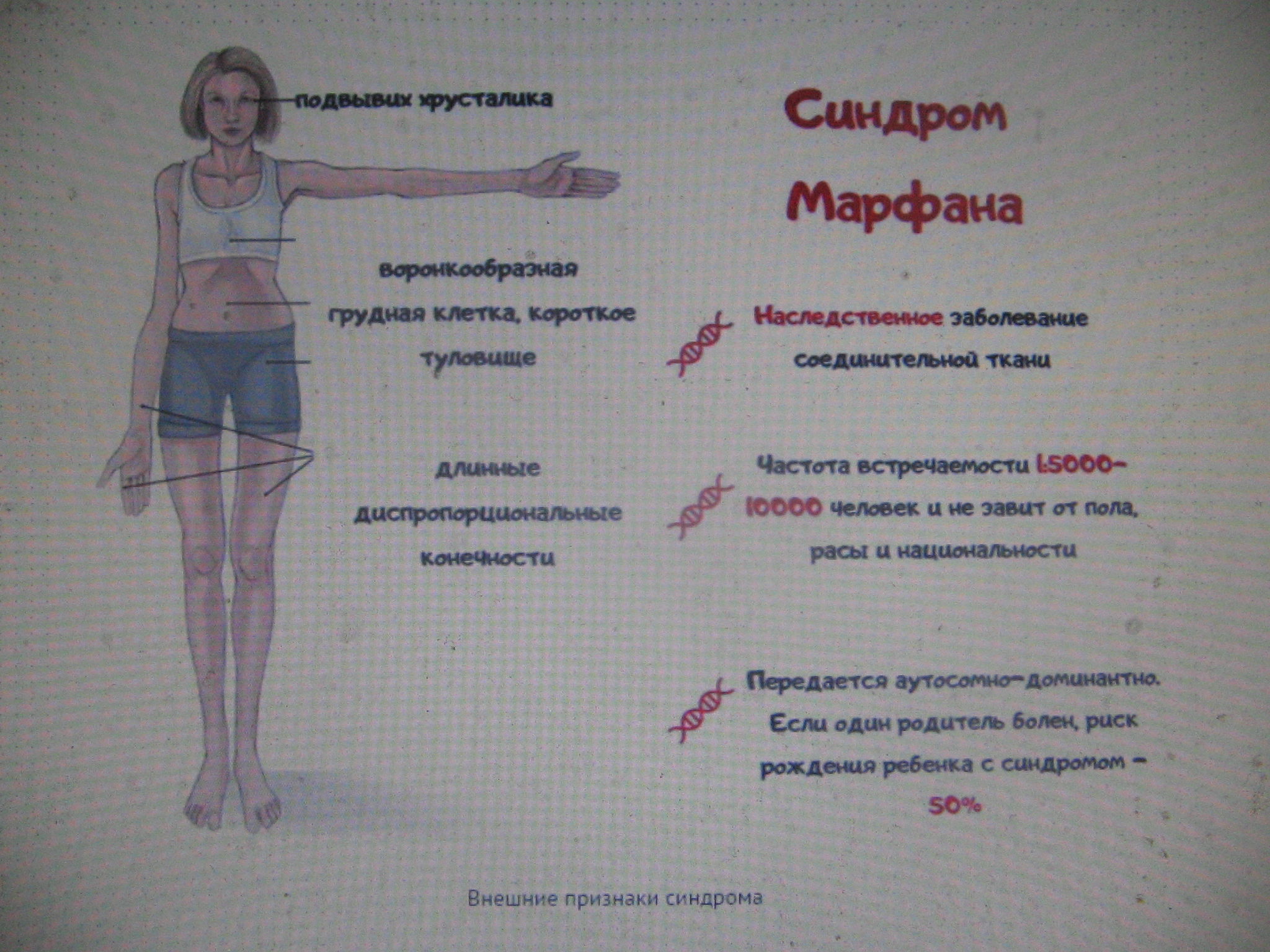 https://upforme.ru/uploads/0015/ec/e0/1538/160186.jpg