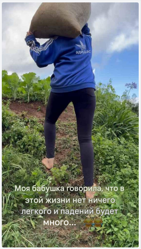 https://upforme.ru/uploads/0015/ec/e0/2067/t797047.jpg