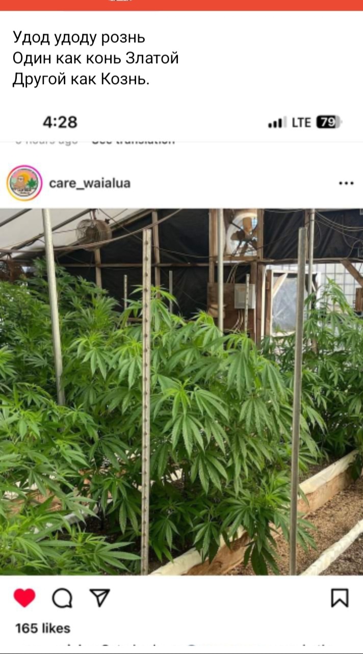 https://upforme.ru/uploads/0015/ec/e0/2289/90819.jpg