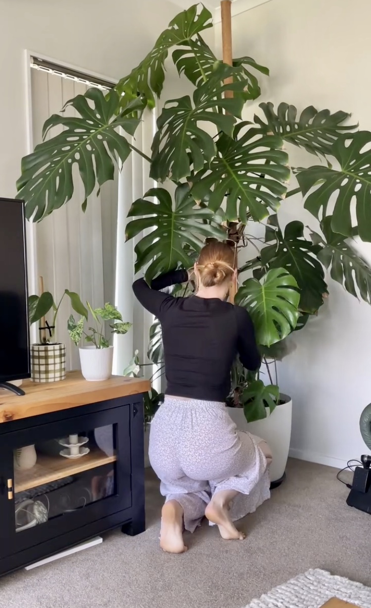 https://upforme.ru/uploads/0015/ec/e0/2342/670171.jpg