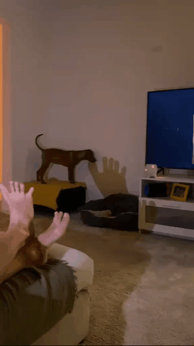 https://upforme.ru/uploads/0015/ec/e0/2346/156994.gif