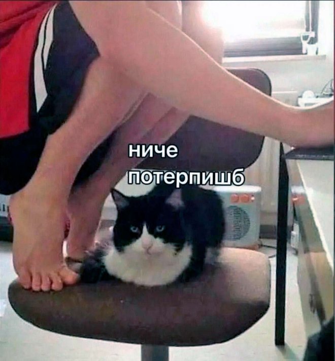 https://upforme.ru/uploads/0015/ec/e0/2346/162438.jpg