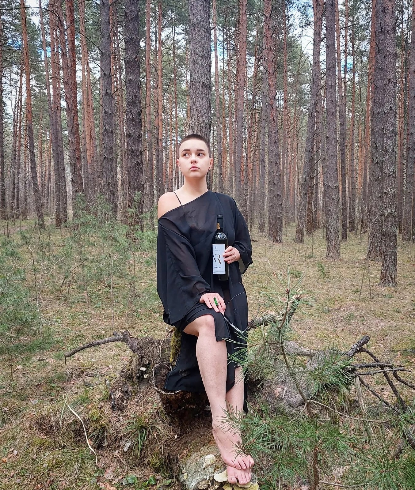https://upforme.ru/uploads/0015/ec/e0/2516/461138.jpg