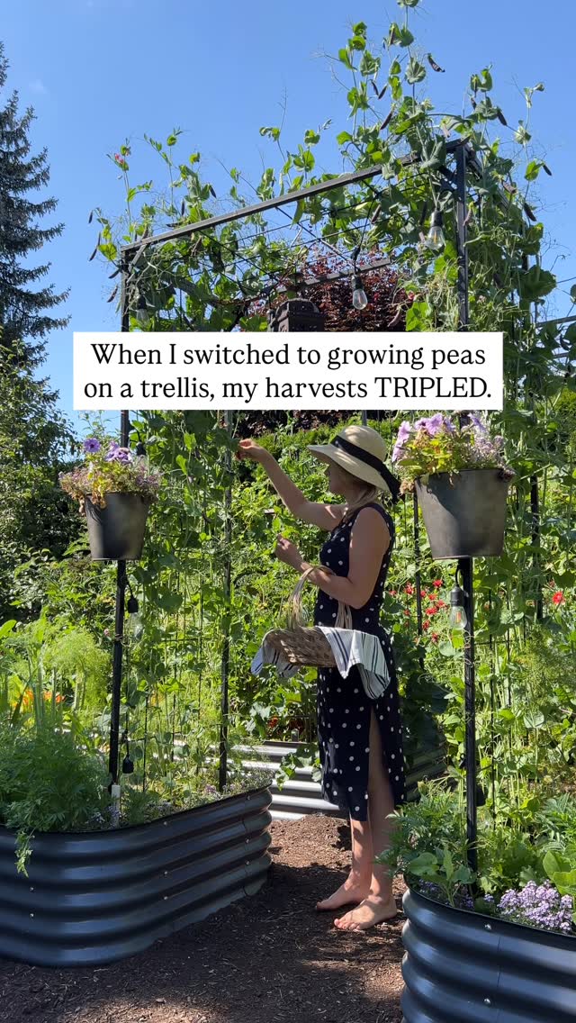 https://upforme.ru/uploads/0015/ec/e0/2530/137967.jpg