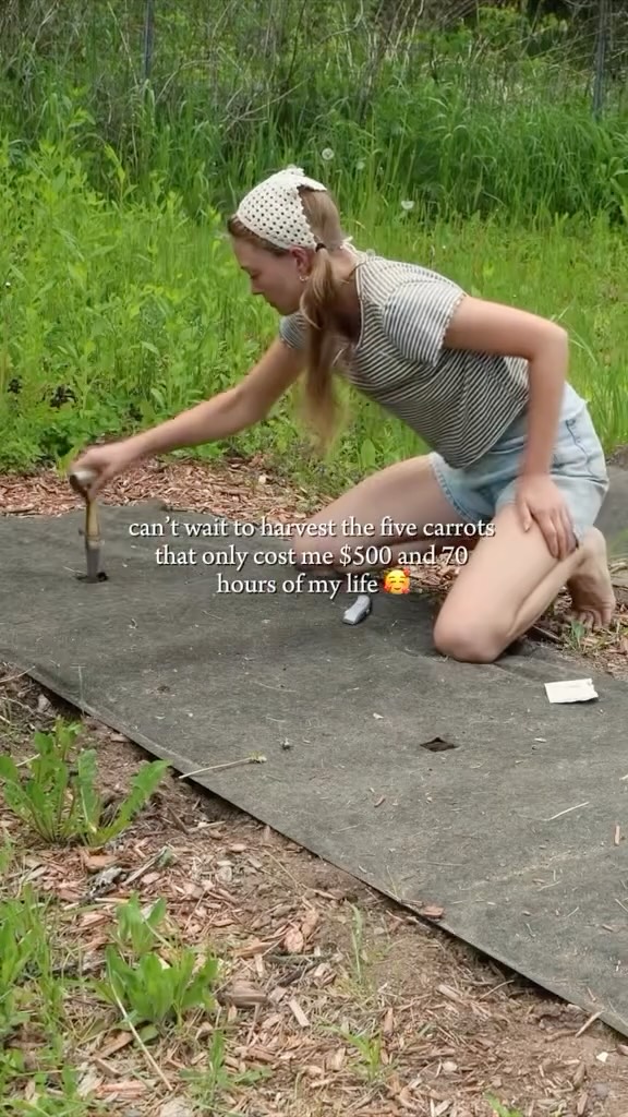 https://upforme.ru/uploads/0015/ec/e0/2530/408970.jpg
