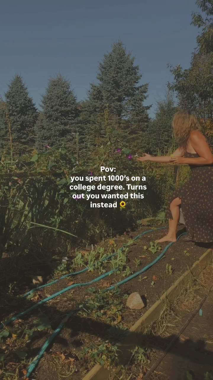 https://upforme.ru/uploads/0015/ec/e0/2530/563241.jpg