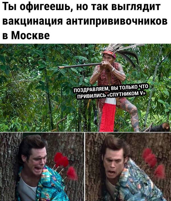 https://upforme.ru/uploads/0015/f8/d0/201/t637663.jpg