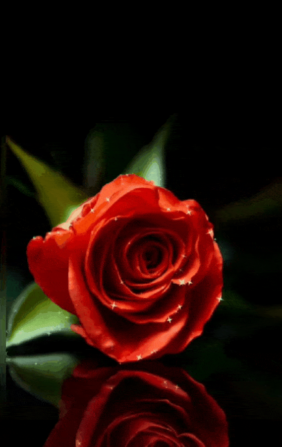 https://upforme.ru/uploads/0015/f8/d0/203/382840.gif