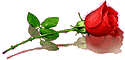 https://upforme.ru/uploads/0015/f8/d0/203/410570.gif