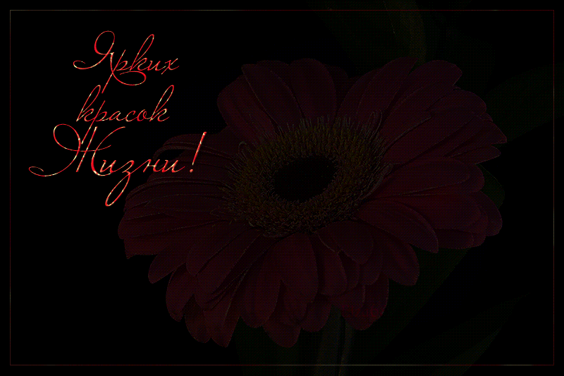 https://upforme.ru/uploads/0015/f8/d0/203/71241.gif