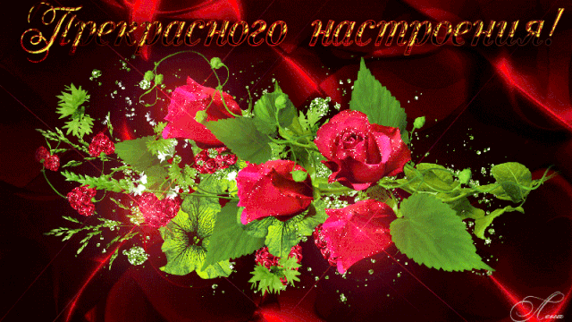 https://upforme.ru/uploads/0015/f8/d0/203/902832.gif