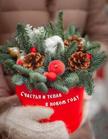 https://upforme.ru/uploads/0015/f8/d0/247/t195432.jpg