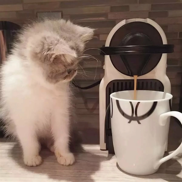 https://upforme.ru/uploads/0015/f8/d0/257/t121794.png