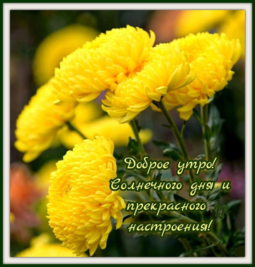 https://upforme.ru/uploads/0015/f8/d0/257/t169066.png