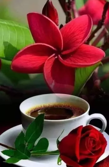 https://upforme.ru/uploads/0015/f8/d0/257/t200398.webp
