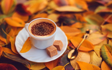 https://upforme.ru/uploads/0015/f8/d0/257/t238644.png