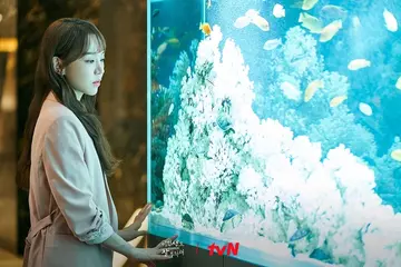 https://upforme.ru/uploads/0015/f8/d0/257/t249728.webp