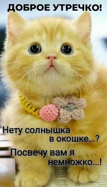 https://upforme.ru/uploads/0015/f8/d0/257/t627284.jpg