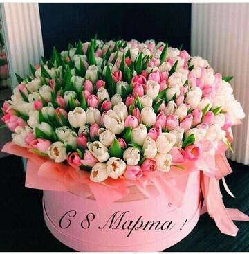 https://upforme.ru/uploads/0015/f8/d0/257/t735635.jpg