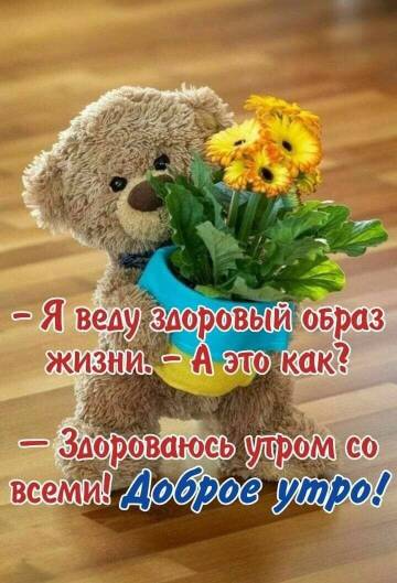 https://upforme.ru/uploads/0015/f8/d0/257/t769085.jpg