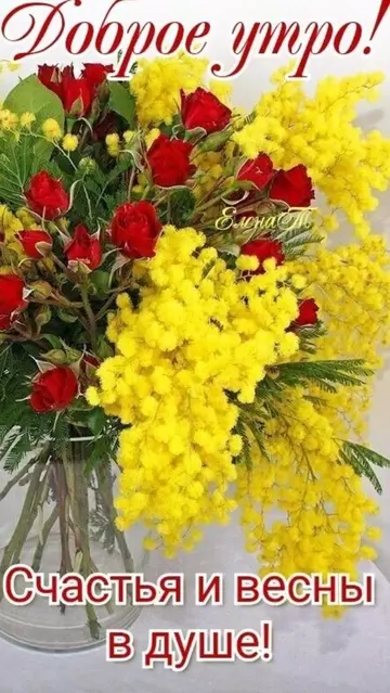 https://upforme.ru/uploads/0015/f8/d0/257/t910085.webp