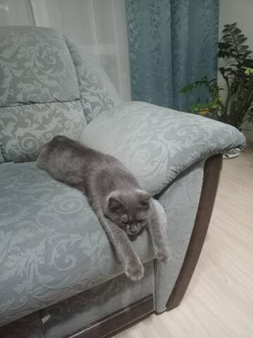 https://upforme.ru/uploads/0015/f8/d0/259/t197690.jpg