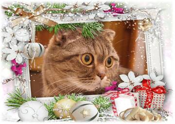 https://upforme.ru/uploads/0015/f8/d0/49/t341359.jpg