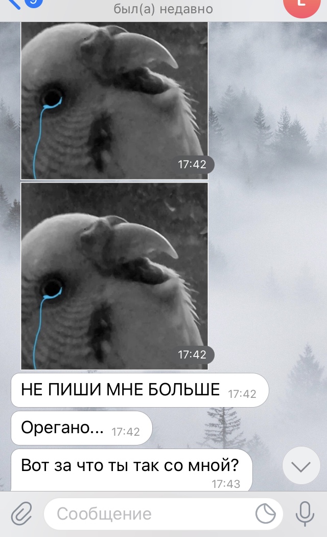 https://upforme.ru/uploads/0016/02/3b/23/295771.jpg