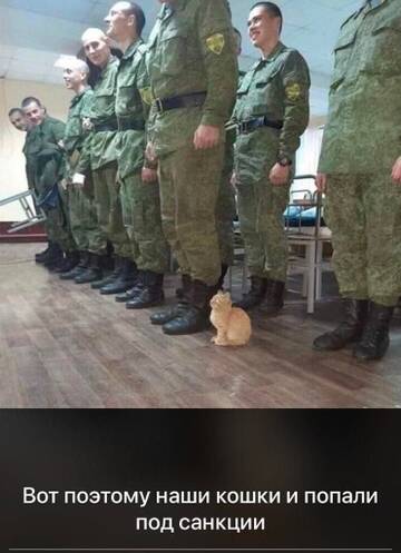 https://upforme.ru/uploads/0016/23/16/2/t884151.jpg